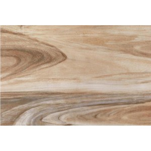 Gạch lát sàn Trường Thịnh WOOD SERIES 69EL856M1